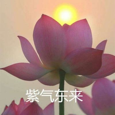 天空小径手游下载